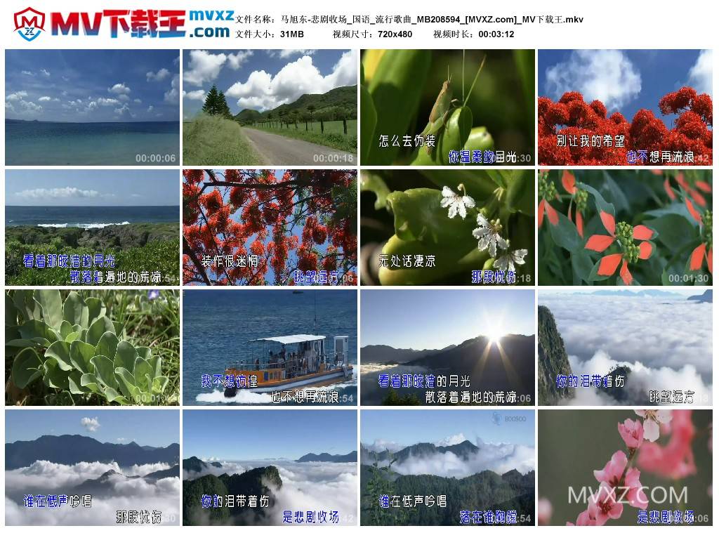 马旭东-悲剧收场_国语_流行歌曲_MB208594